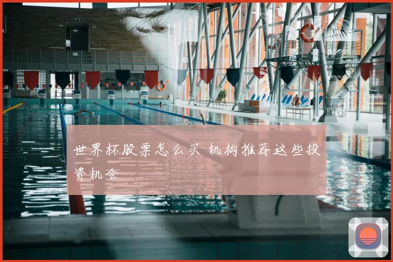 世界杯股票怎么买 机构推荐这些投资机会
