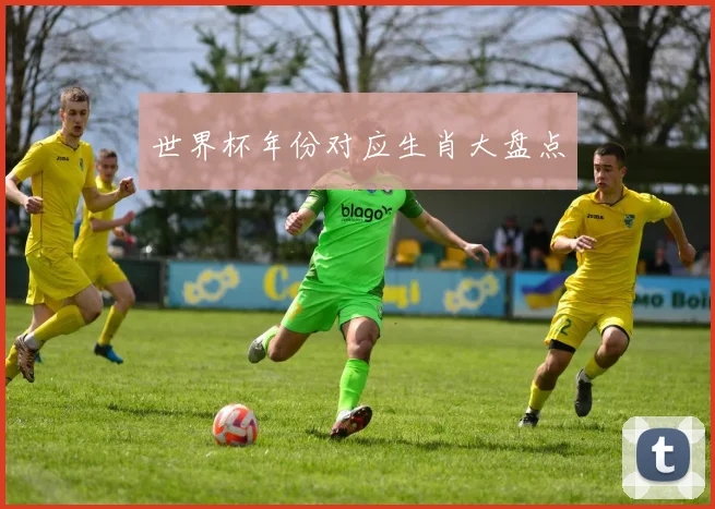 世界杯年份对应生肖大盘点
