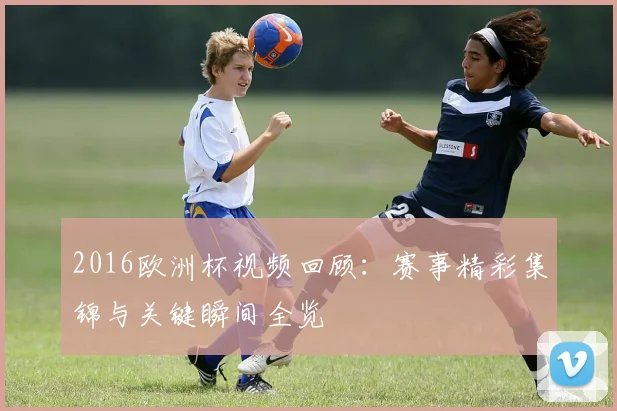 2016欧洲杯视频回顾:赛事精彩集锦与关键瞬间全览